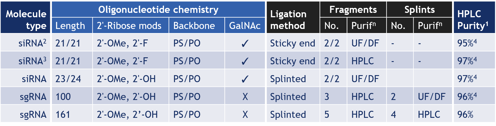Examples of oligonucleotide products synthesized by chemoenzymatic ligation at Hongene. 